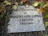 image of grave number 173399